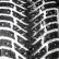 Шина LingLong Green-Max Winter Grip 2 255/55 R19 шип в Омске