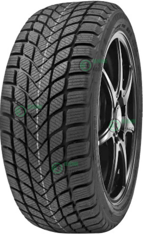 Delinte Winter WD6 205/65 R15